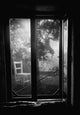 Rear Window - Art Print - Zapista