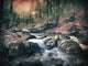 Reverie au bord de l'eau - Art Print - Zapista