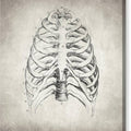 Rib Cage - Canvas Print