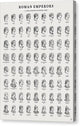 Roman Emperors - Canvas Print