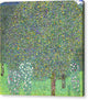 Rosebushes Under the Trees - Canvas Print