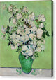 Roses - Canvas Print