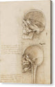 Sagittal Sections of the Human Skull - Canvas Print
