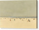 Sand, Sea and Sky, A Summer Phantasy - Canvas Print
