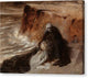 Sea Fairytale - Canvas Print