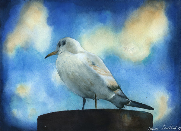 Seagull - Art Print - Zapista