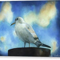Seagull - Canvas Print