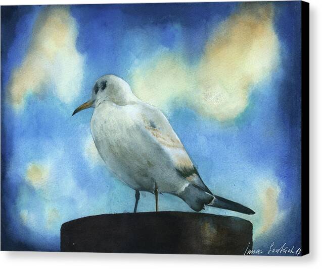 Seagull - Canvas Print