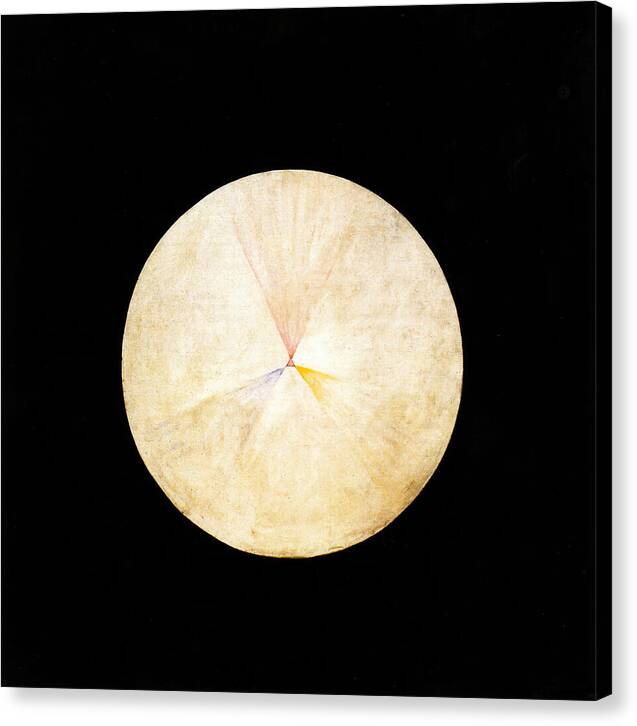 Series SUW, No 14 Swan - Canvas Print