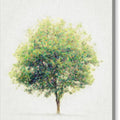 Soledad - Canvas Print