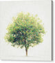 Soledad - Canvas Print