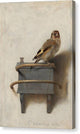 The Goldfinch - Canvas Print