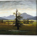 The Lone Tree - Canvas Print