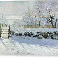 The Magpie - Canvas Print