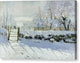 The Magpie - Canvas Print