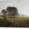The Midday - Canvas Print