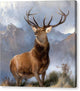 The Monarch of the Glen - Canvas Print