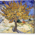 The Mulberry Tree - Canvas Print