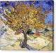 The Mulberry Tree - Canvas Print