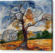 The Oak - Canvas Print