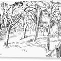 The Orchard - Canvas Print