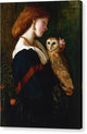 The Owl - Canvas Print