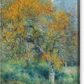 The Pear Tree - Canvas Print
