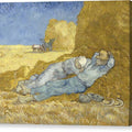 The Siesta - Canvas Print