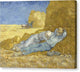 The Siesta - Canvas Print