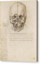 The Skull Sectioned - Canvas Print