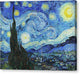 The Starry Night - Canvas Print