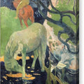 The White Horse - Canvas Print