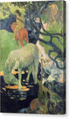 The White Horse - Canvas Print