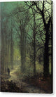 Thro' the Wood - Canvas Print