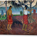Under the Pandanus - Canvas Print