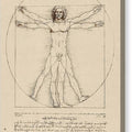 Vitruvian Man - Canvas Print