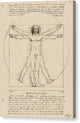 Vitruvian Man - Canvas Print