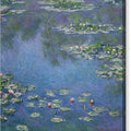Water Lilies - Canvas Print