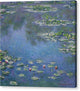 Water Lilies - Canvas Print