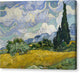 Wheat Field with Cypresses - Canvas Print