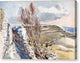 Worth Matravers, Dorset - Canvas Print