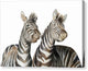Zebras Watercolor - Canvas Print