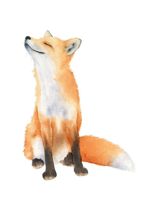Fox Watercolor - Art Print - Zapista
